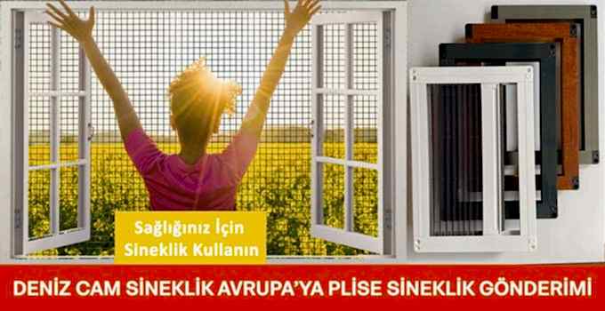 Almanya’ya Sineklik Gönderimi